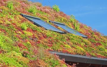 Ravens Green living roof systems