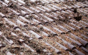 Ravens Green roof cleaning companies